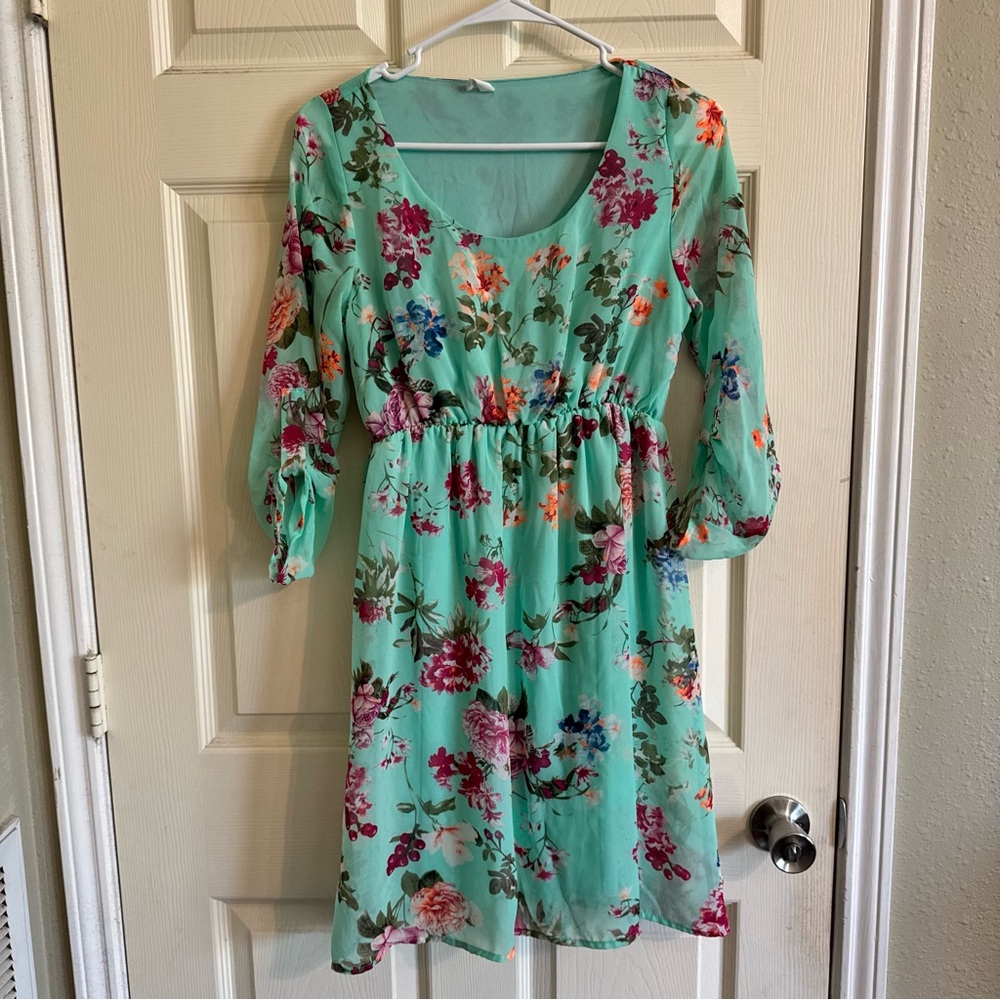 Pinkblush Mint Green Maternity Dress